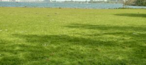 Friese meren, heerlijk wonen in Friesland Friese meren, heerlijk wonen in Friesland