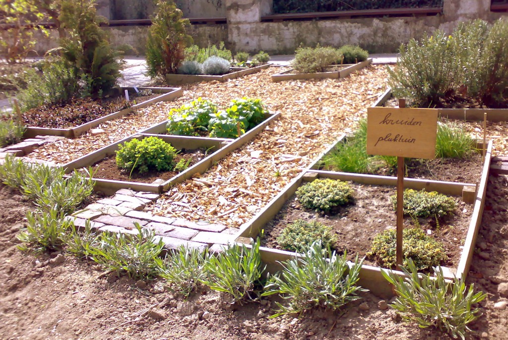 Buurttuin Het Zwembad Rotterdam Kruidentuin in de "Zwembad speeltuin" te Rotterdam (hier stond ooit een overdekt zwembad, vandaar). Foto: S.v.d. Ent